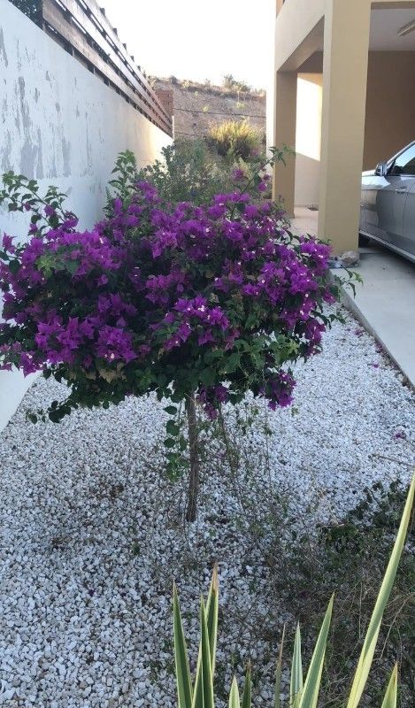 Вилла в Пафосе, Кипр, 165 м² - фото 12