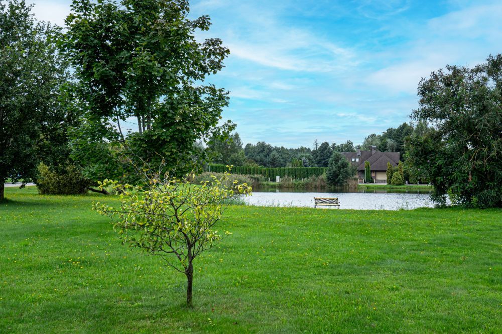 Дом в Бабите, Латвия, 450 м² - фото 16