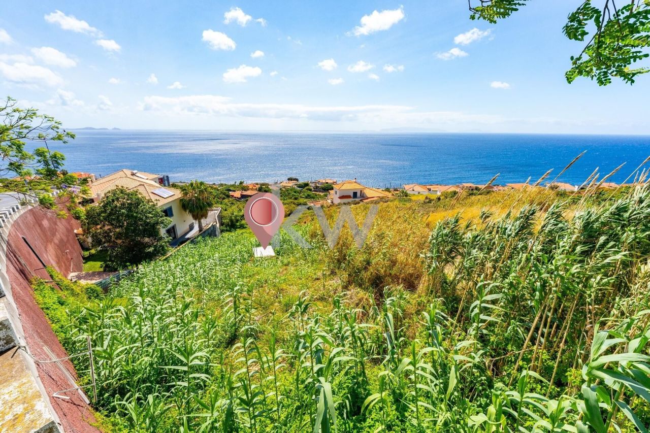 Земля на Мадейре, Португалия, 1 460 м² - фото 1