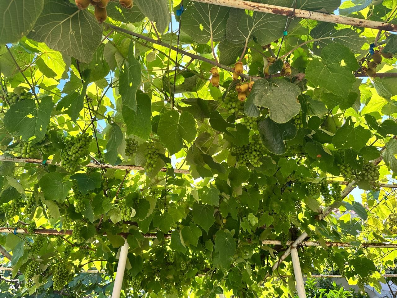 Дом в Баре, Черногория, 96 м² - фото 5