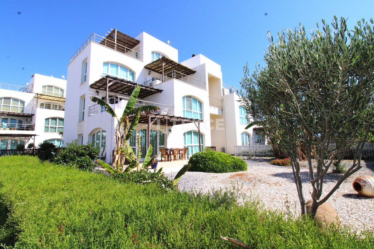 Апартаменты в Лефке, Кипр, 120 м² - фото 2