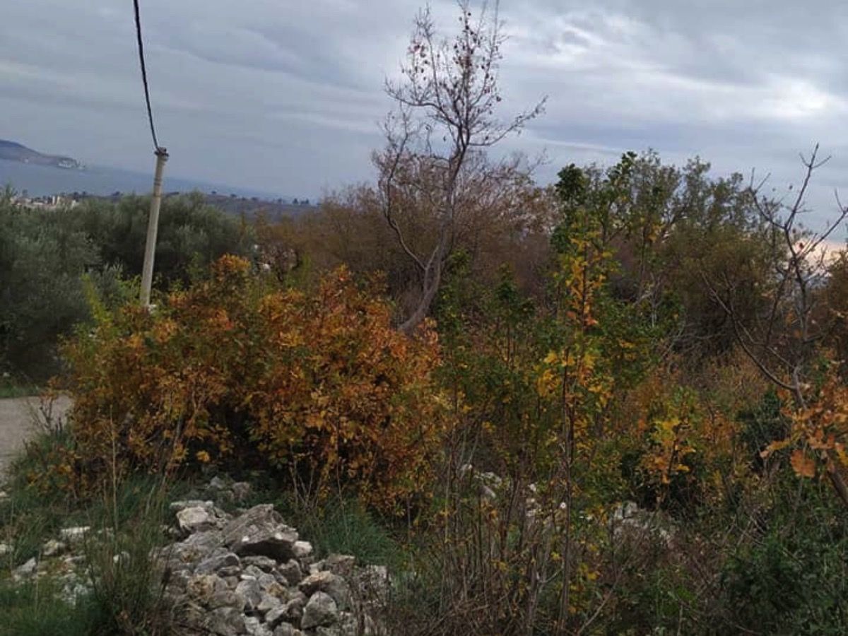 Земля в Сутоморе, Черногория, 405 м² - фото 2