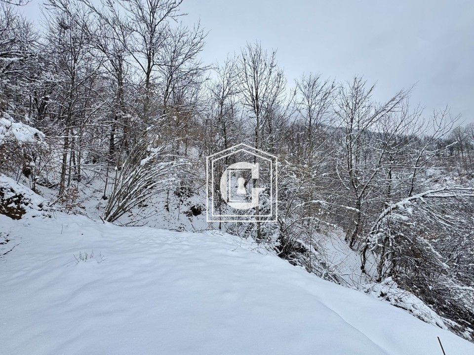 Земля в Колашине, Черногория, 16 613 м² - фото 4