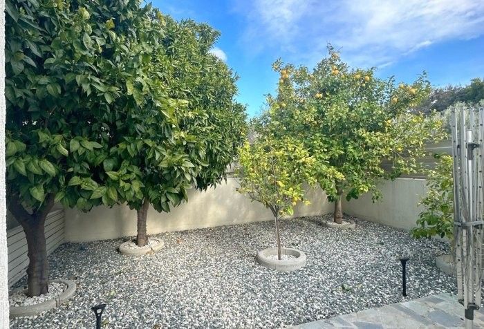 Бунгало в Пафосе, Кипр, 180 м² - фото 13