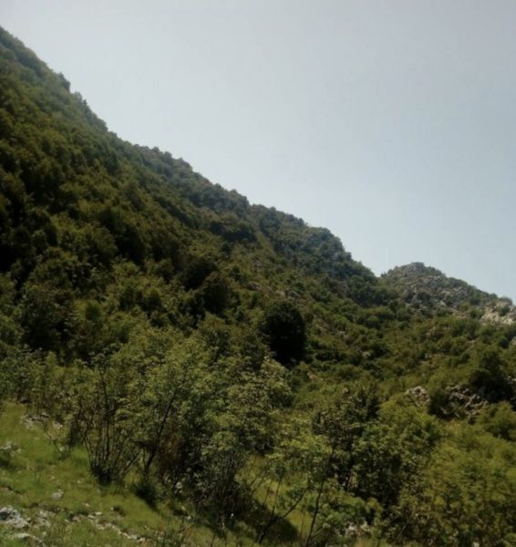 Земля в Цетине, Черногория, 76 632 м² - фото 1