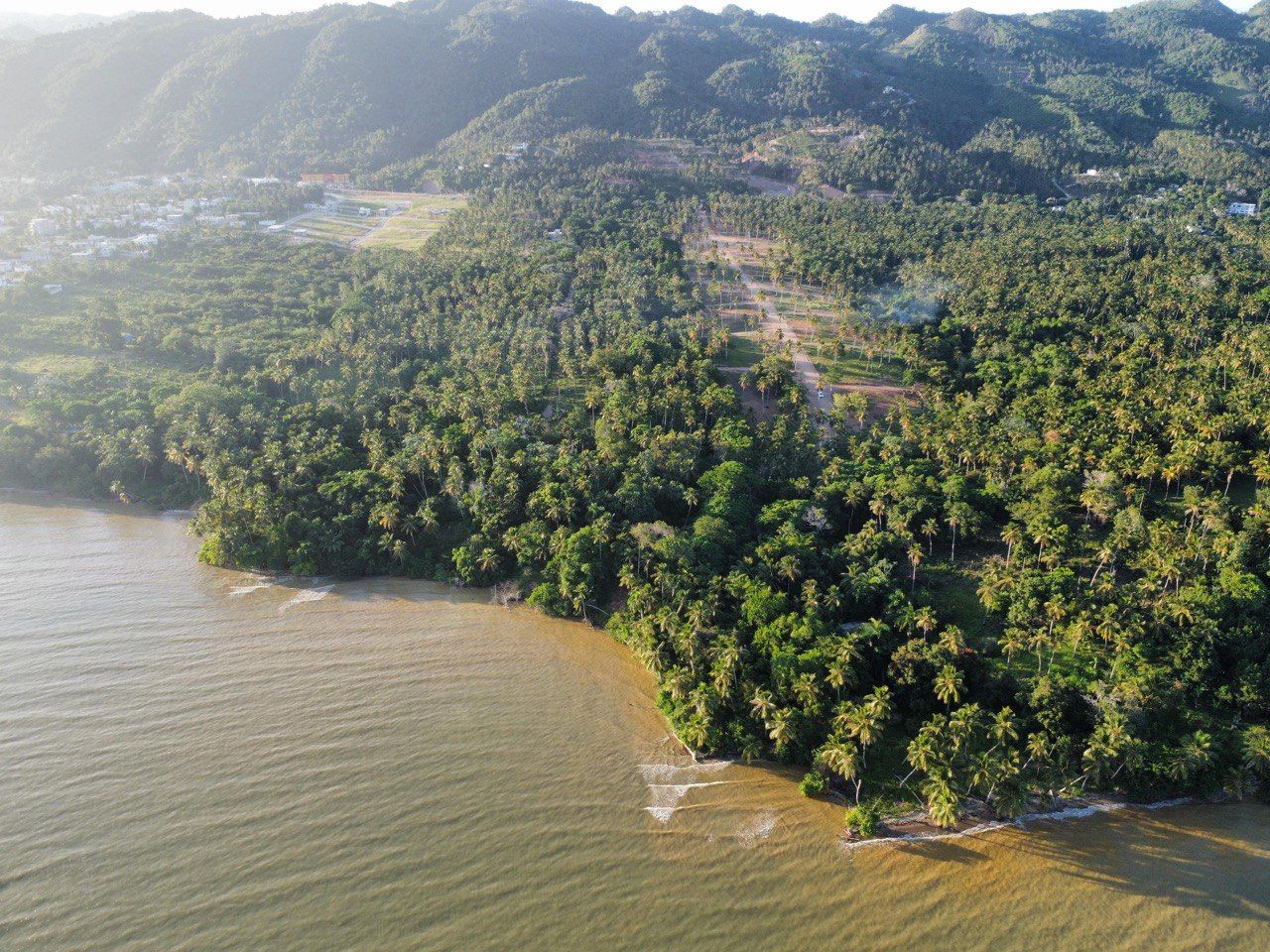 Земля в Самане, Доминиканская Республика, 290 м² - фото 15