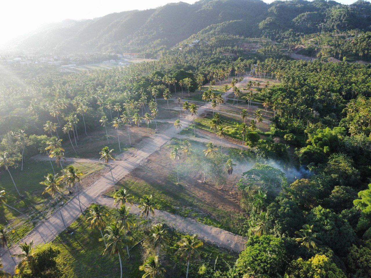 Земля в Самане, Доминиканская Республика, 290 м² - фото 14