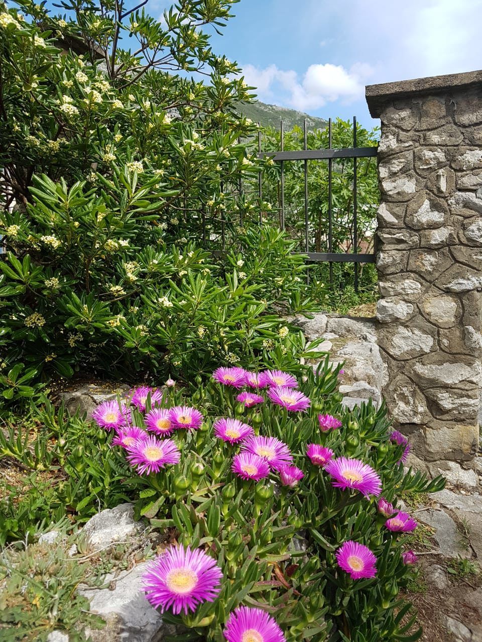 Дом в Сутоморе, Черногория, 60 м² - фото 8