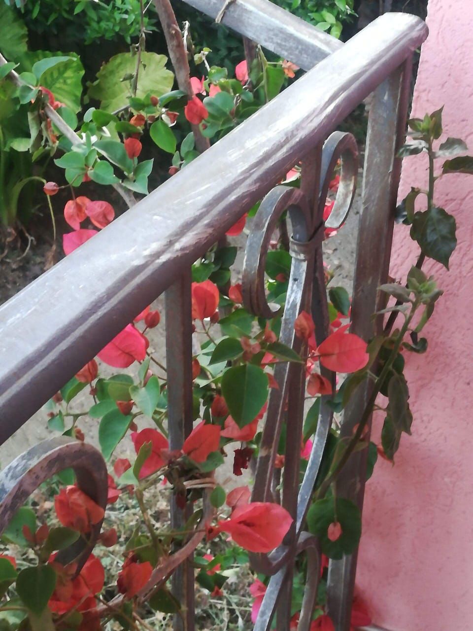 Дом в Сутоморе, Черногория, 60 м² - фото 11