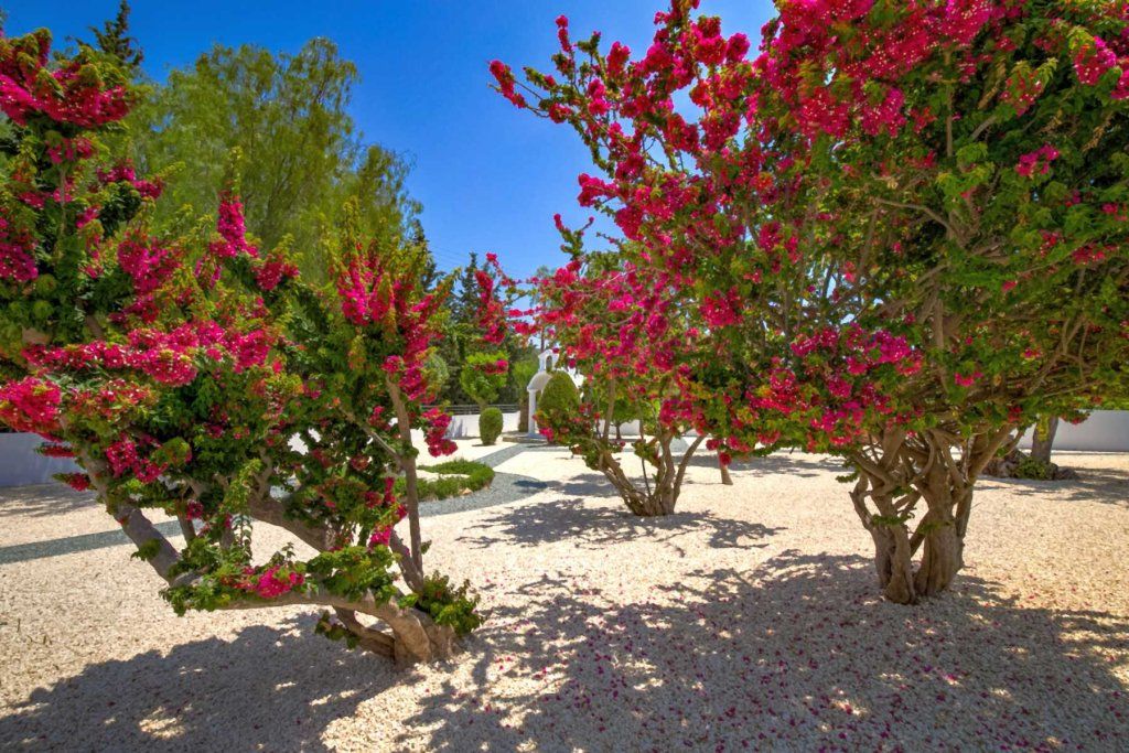 Квартира в Пафосе, Кипр, 348 м² - фото 10