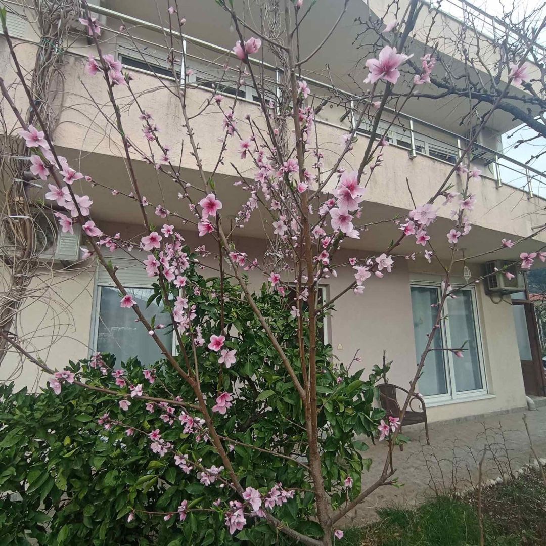 Отель, гостиница в Будве, Черногория, 537 м² - фото 15