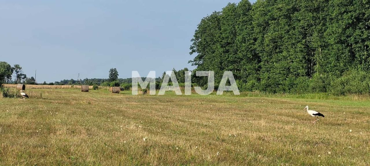 Земля Ziemupe, Латвия, 189 000 м² - фото 6