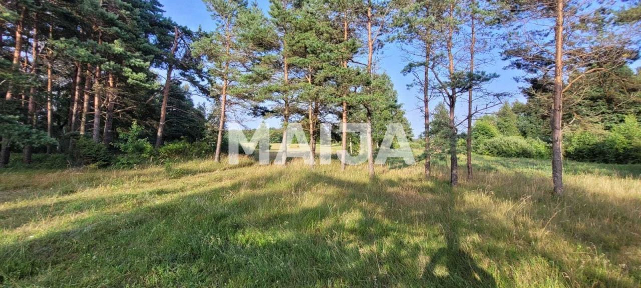 Земля Ziemupe, Латвия, 189 000 м² - фото 8