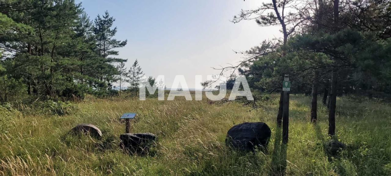 Земля Ziemupe, Латвия, 189 000 м² - фото 10
