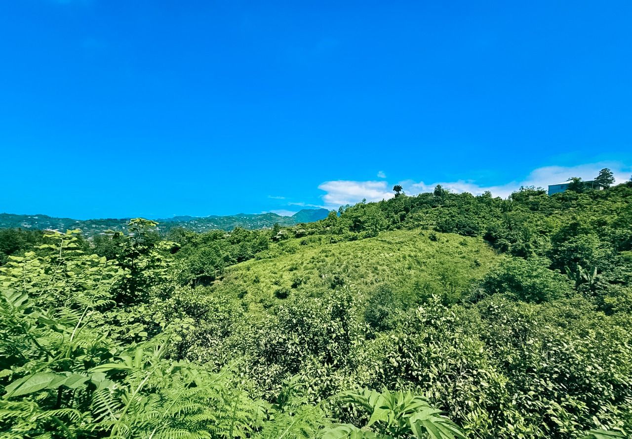 Земля в Батуми, Грузия, 2 800 м² - фото 7