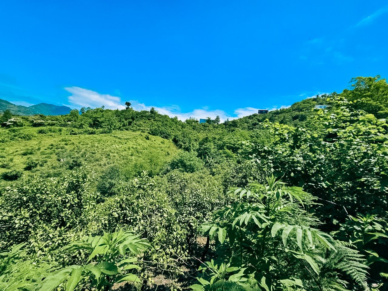 Земля в Батуми, Грузия, 2 800 м² - фото 2