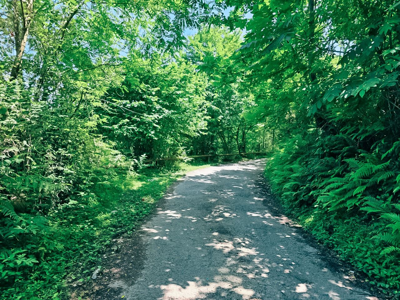 Земля в Батуми, Грузия, 2 800 м² - фото 9