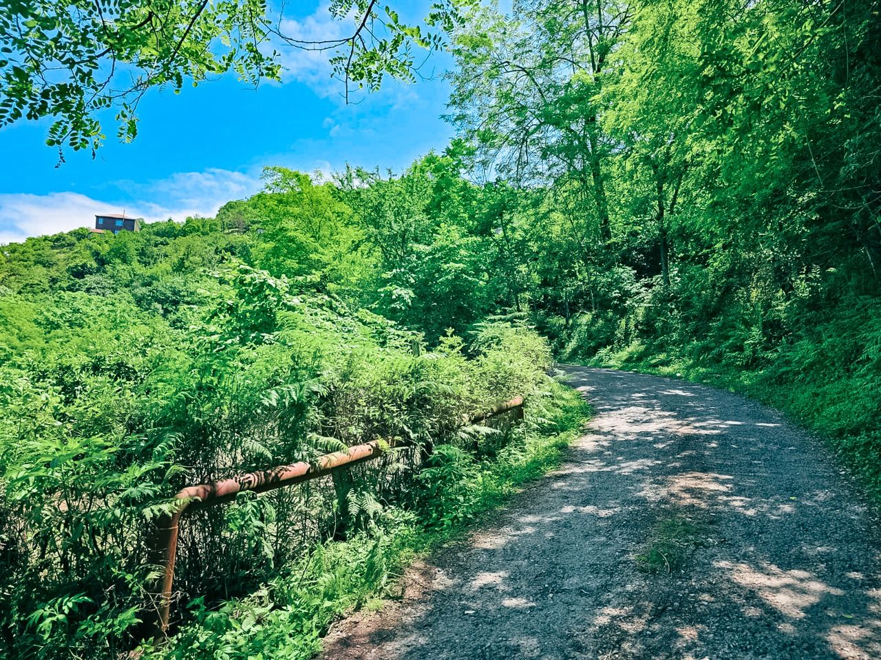 Земля в Батуми, Грузия, 2 800 м² - фото 8