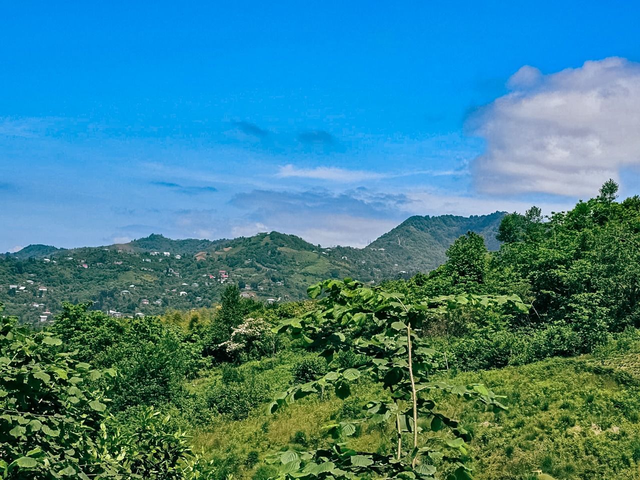 Земля в Батуми, Грузия, 2 800 м² - фото 11