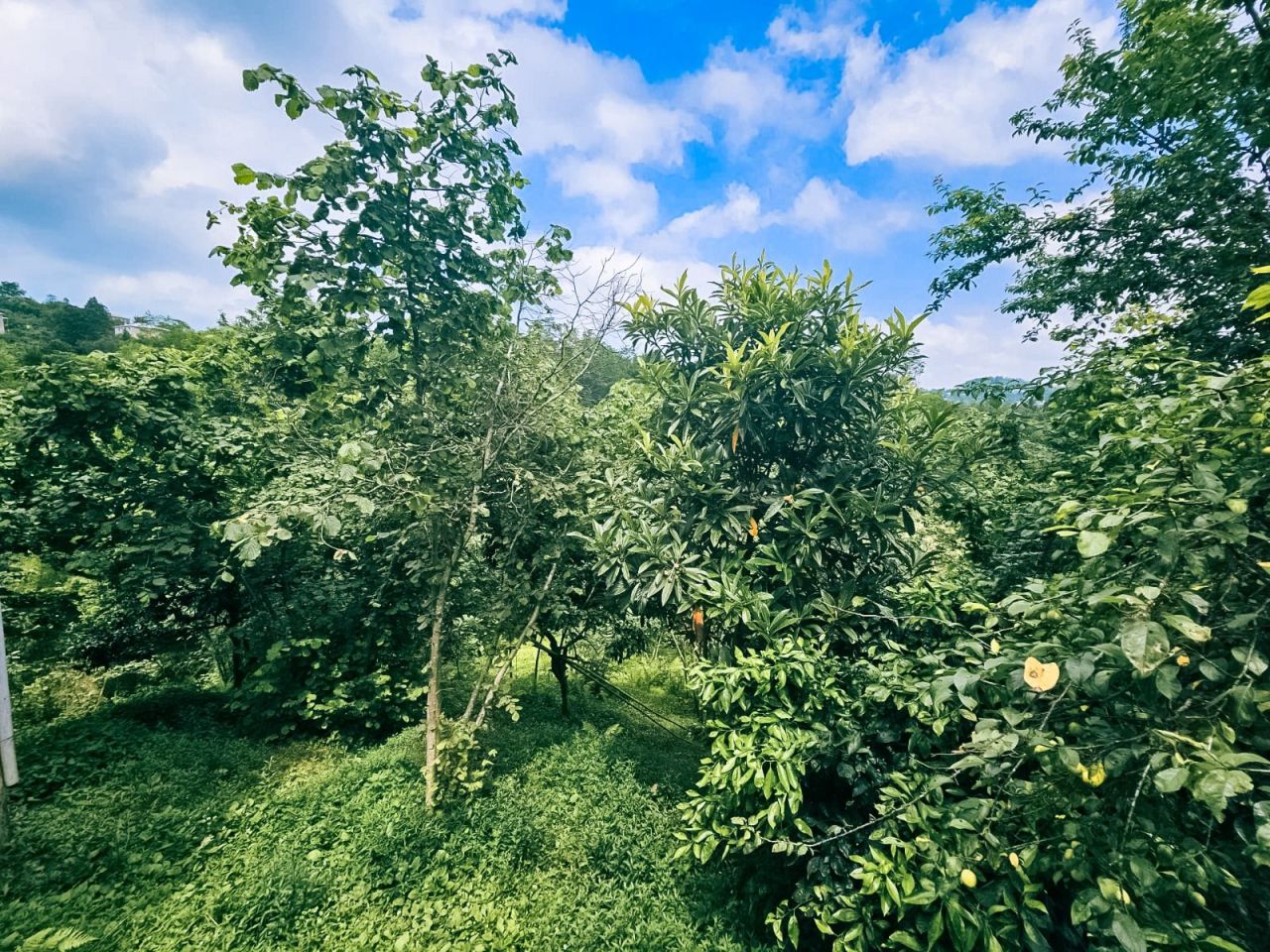 Земля в Батуми, Грузия, 4 195 м² - фото 5