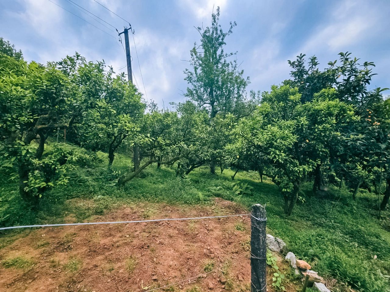 Земля в Батуми, Грузия, 4 195 м² - фото 3