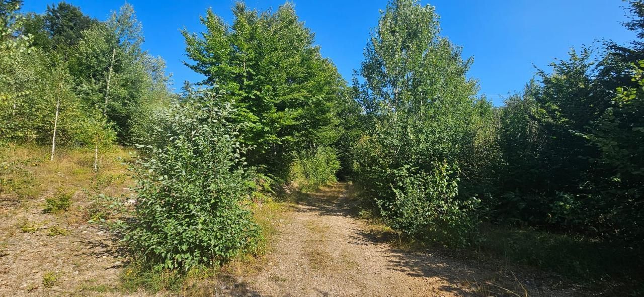 Земля в Колашине, Черногория, 6 154 м² - фото 1