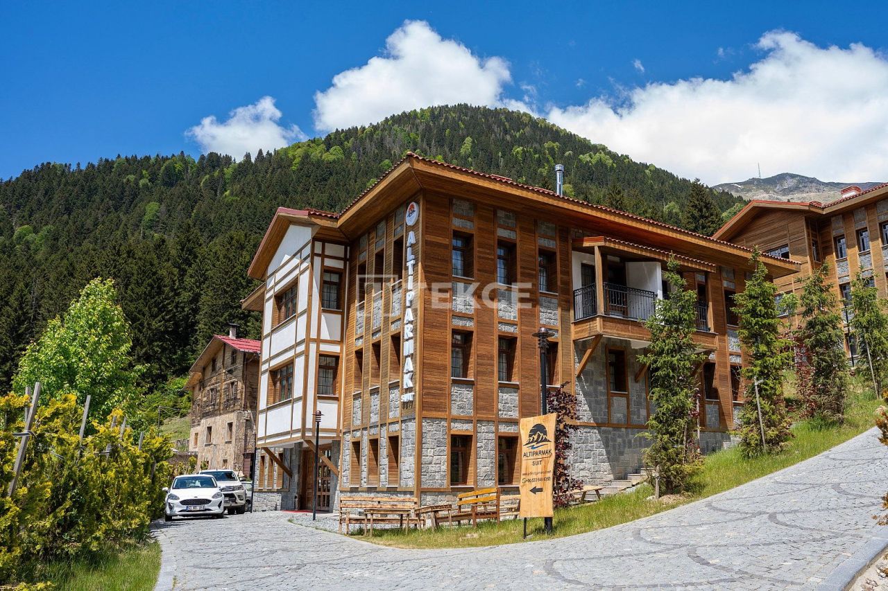 Отель, гостиница Чамлыхемшин, Турция, 413 м² - фото 1