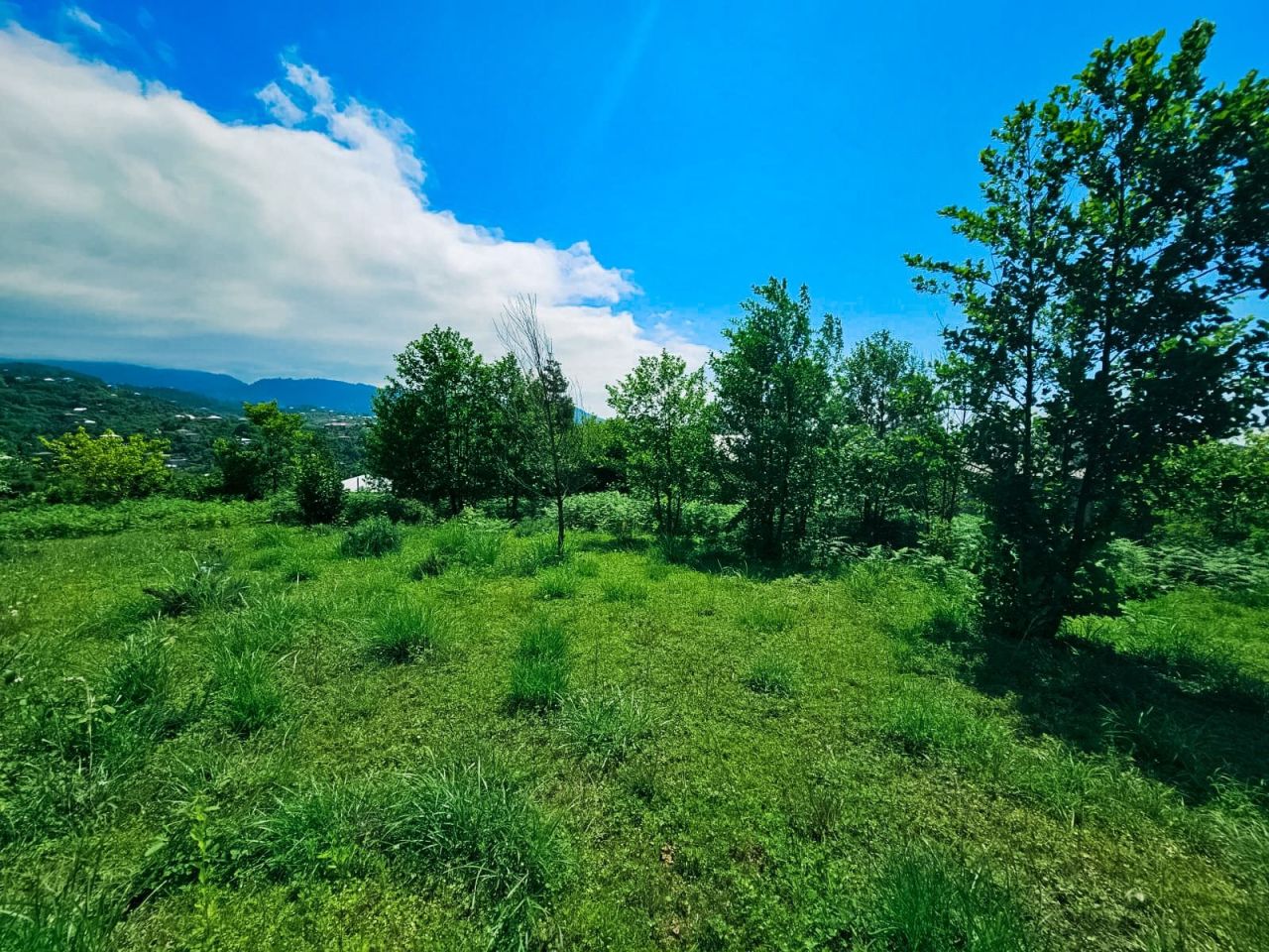 Земля в Батуми, Грузия, 5 500 м² - фото 4