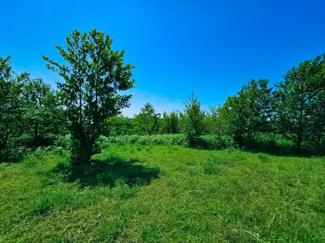 Земля в Батуми, Грузия, 5 500 м² - фото 3