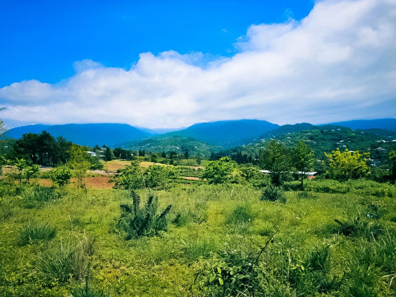 Земля в Батуми, Грузия, 5 500 м² - фото 6