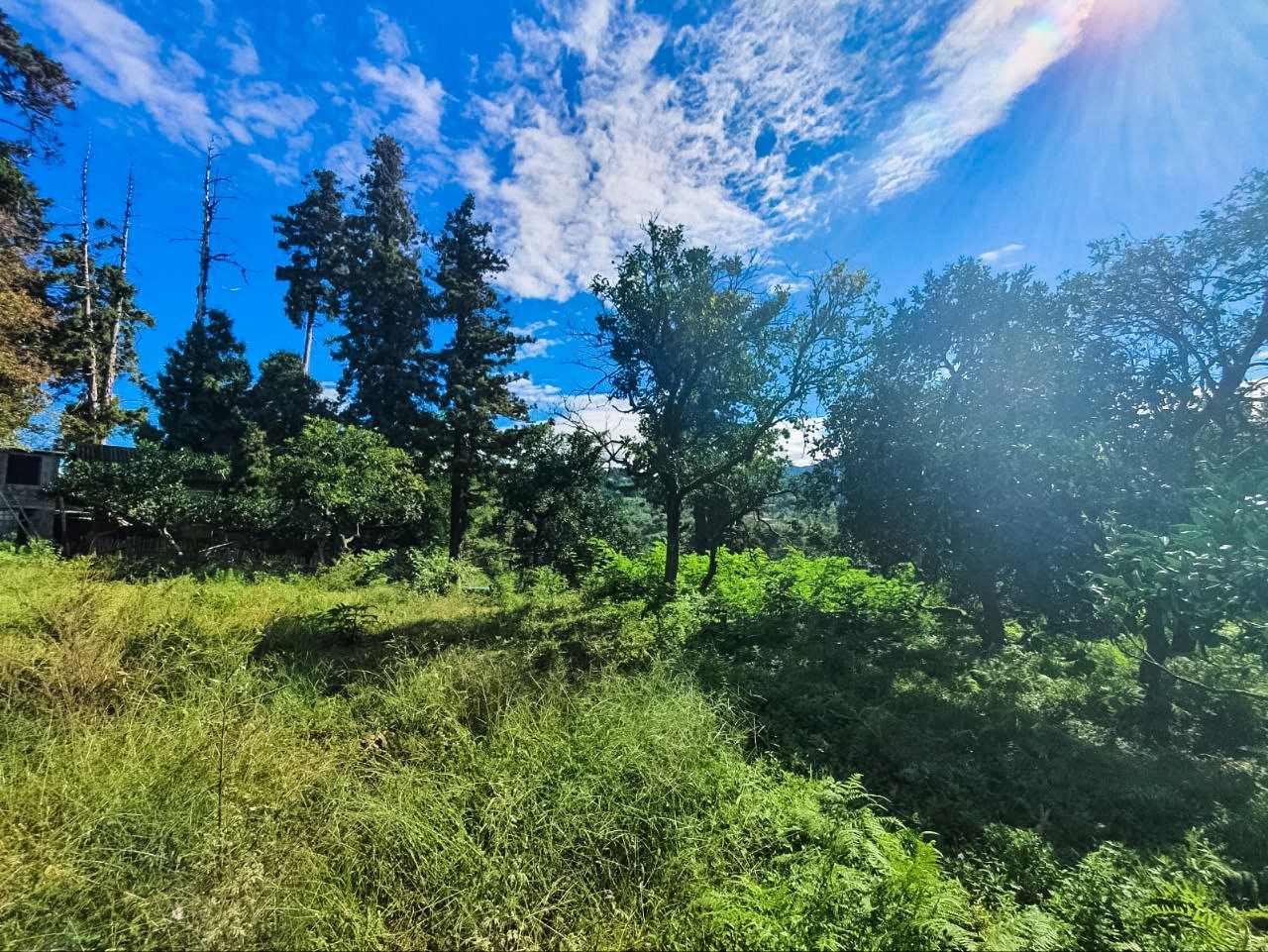 Земля в Батуми, Грузия, 1 366 м² - фото 2