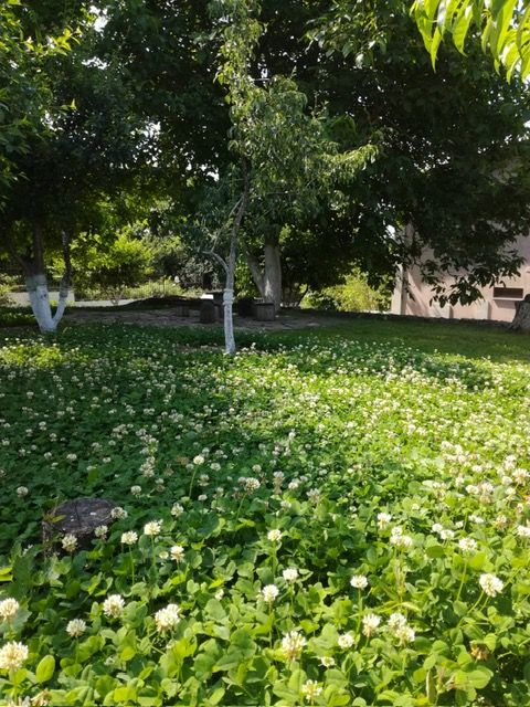 Дом в Бяле, Болгария, 150 м² - фото 17