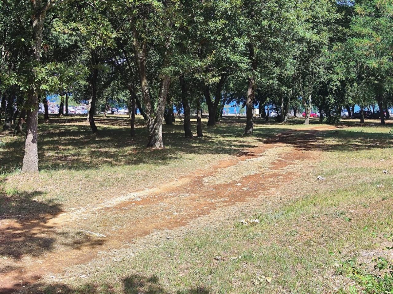 Вилла в Порече, Хорватия, 350 м² - фото 9