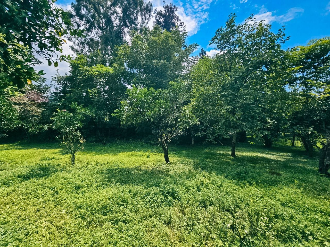 Земля в Батуми, Грузия, 2 000 м² - фото 2