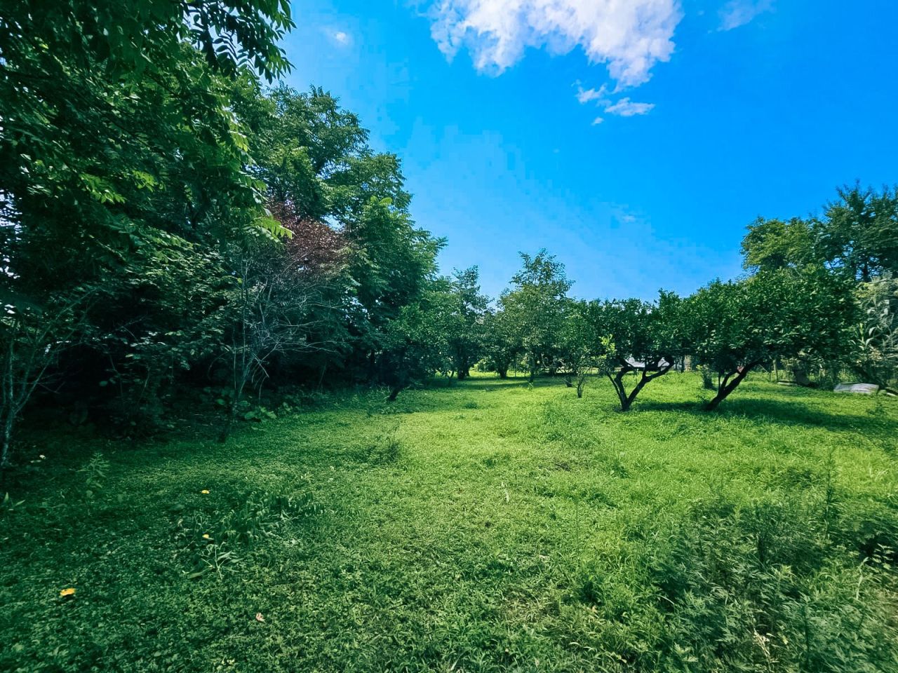 Земля в Батуми, Грузия, 2 000 м² - фото 4