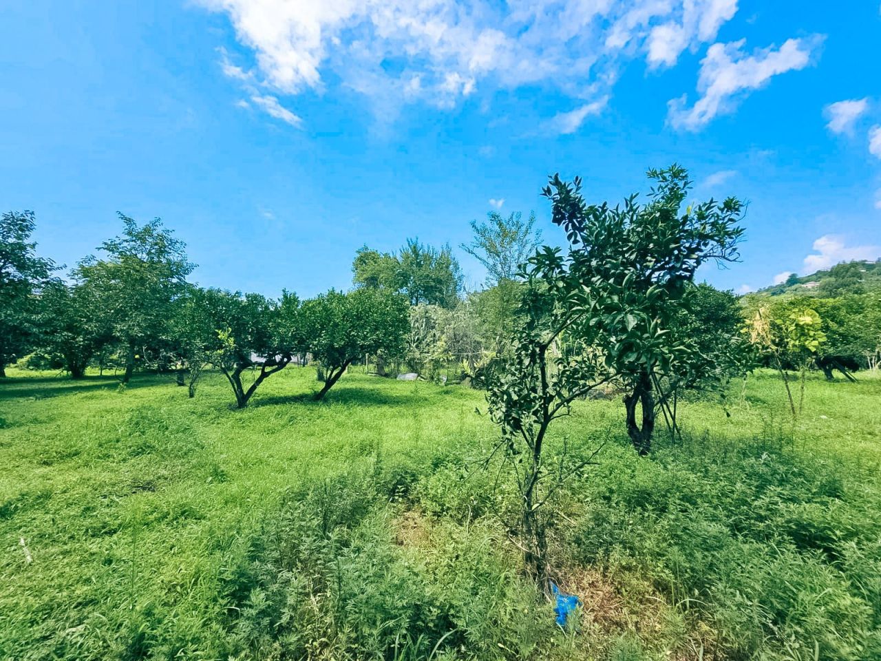 Земля в Батуми, Грузия, 2 000 м² - фото 3