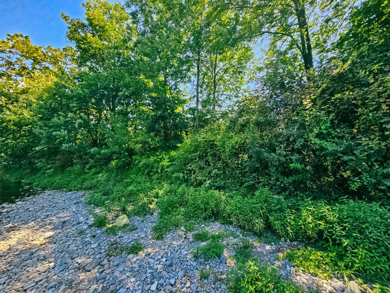 Земля в Батуми, Грузия, 3 902 м² - фото 6