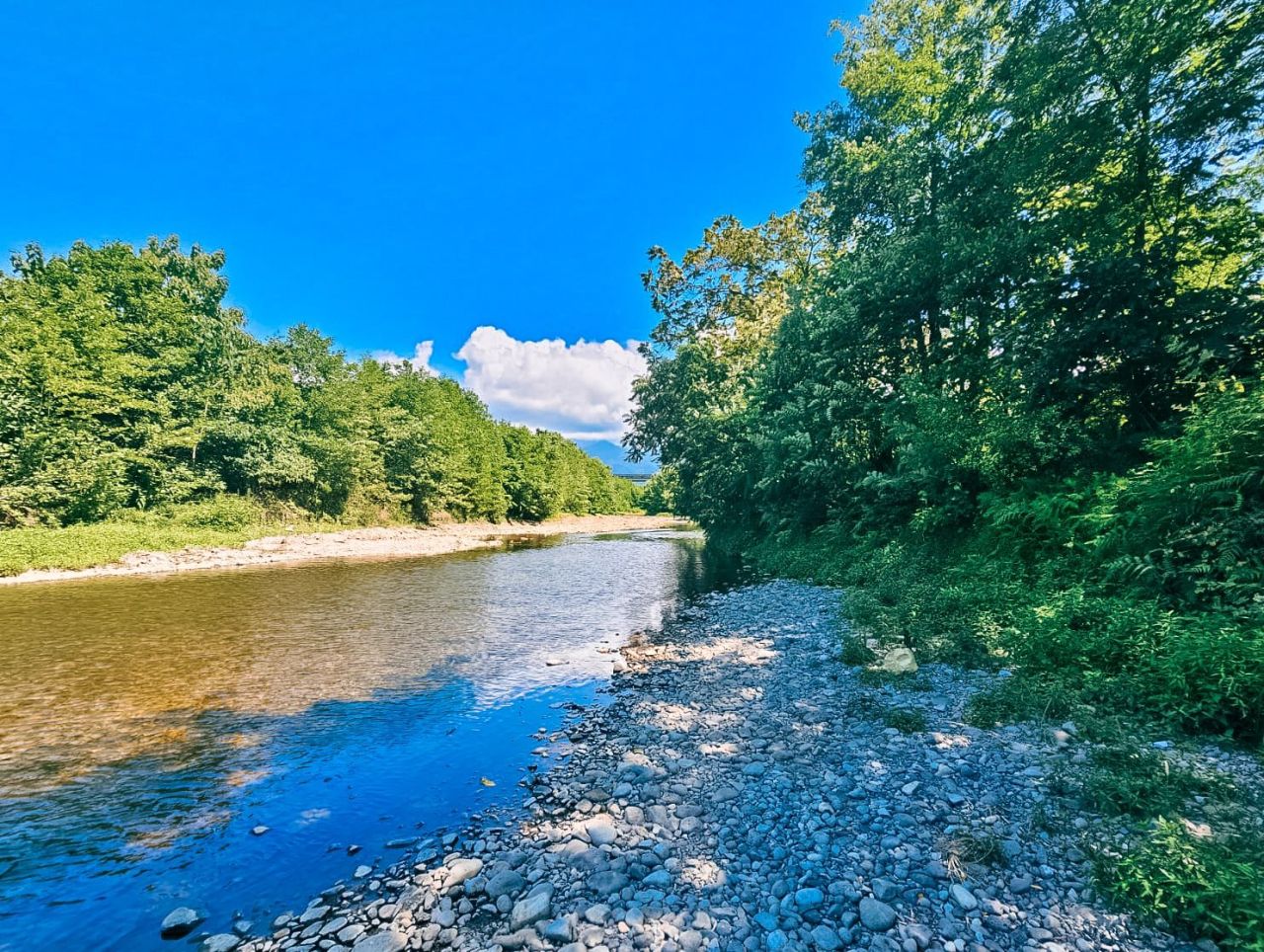 Земля в Батуми, Грузия, 3 902 м² - фото 3