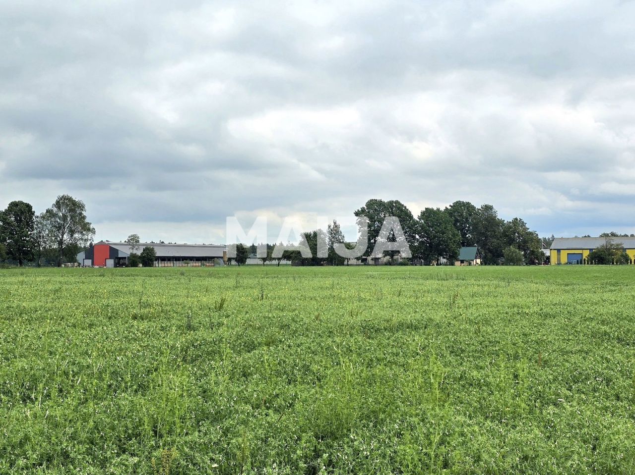 Земля Kabile, Латвия, 5 650 000 м² - фото 3