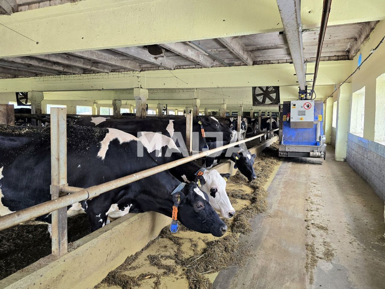 Земля Kabile, Латвия, 5 650 000 м² - фото 9