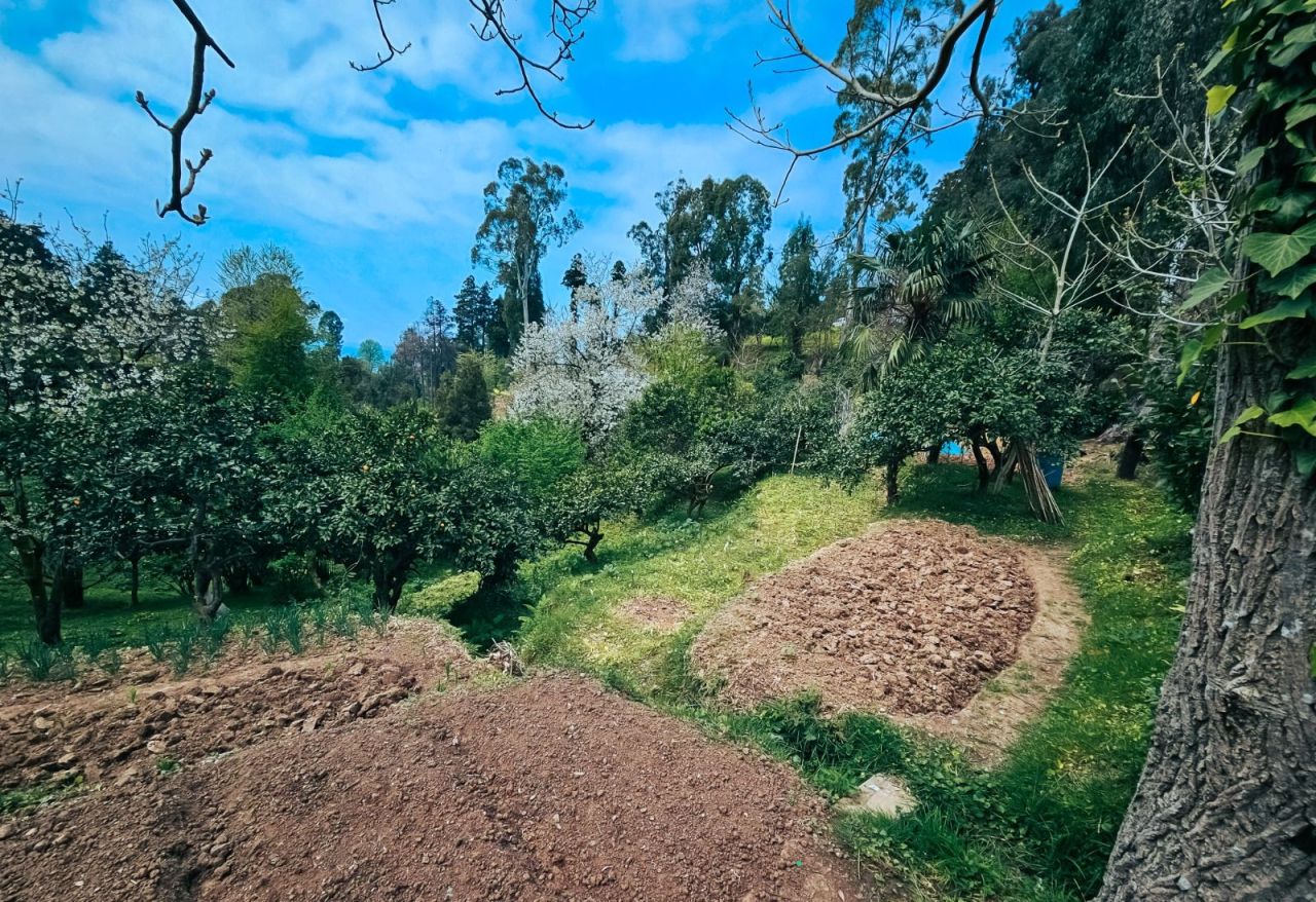 Земля в Батуми, Грузия, 470 м² - фото 6