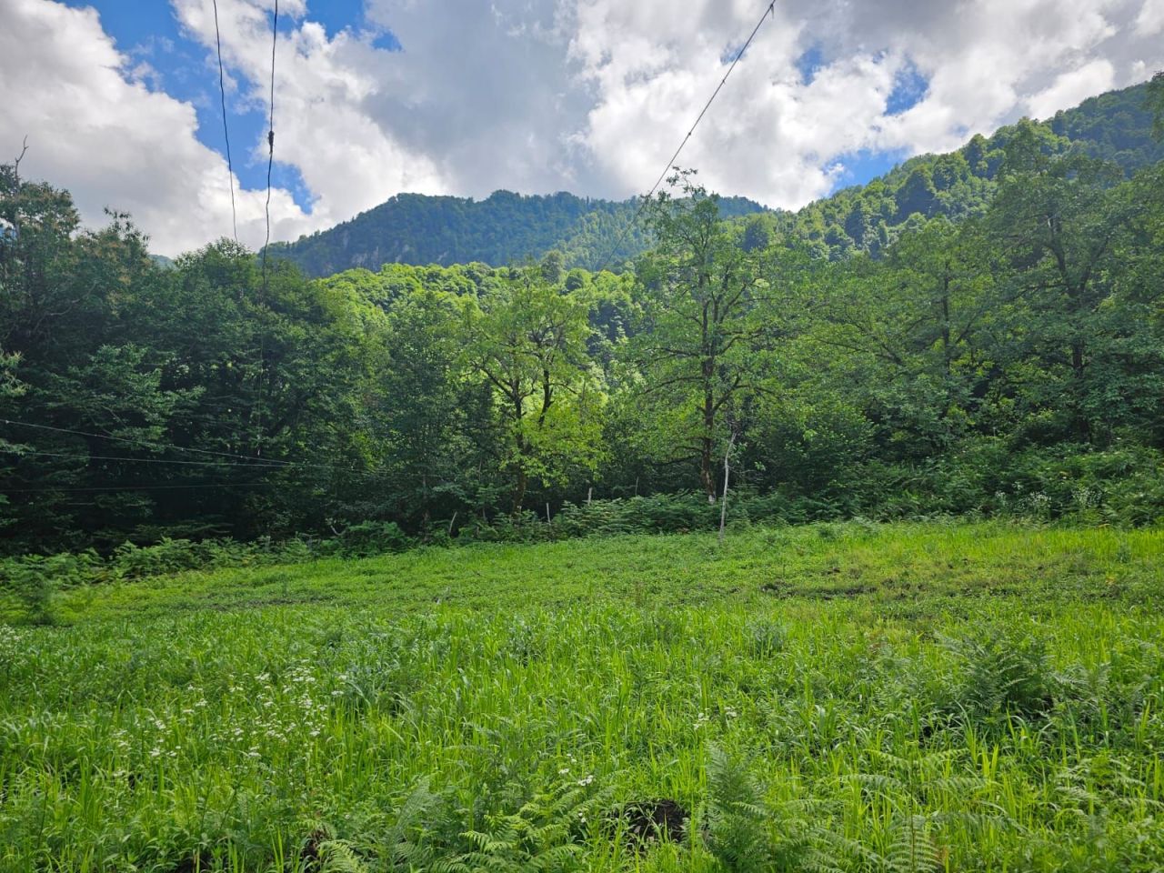 Земля в Батуми, Грузия, 2 800 м² - фото 6