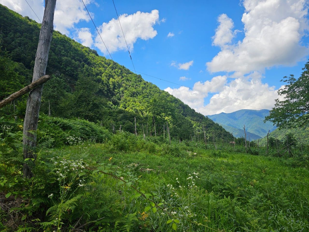 Земля в Батуми, Грузия, 2 800 м² - фото 2