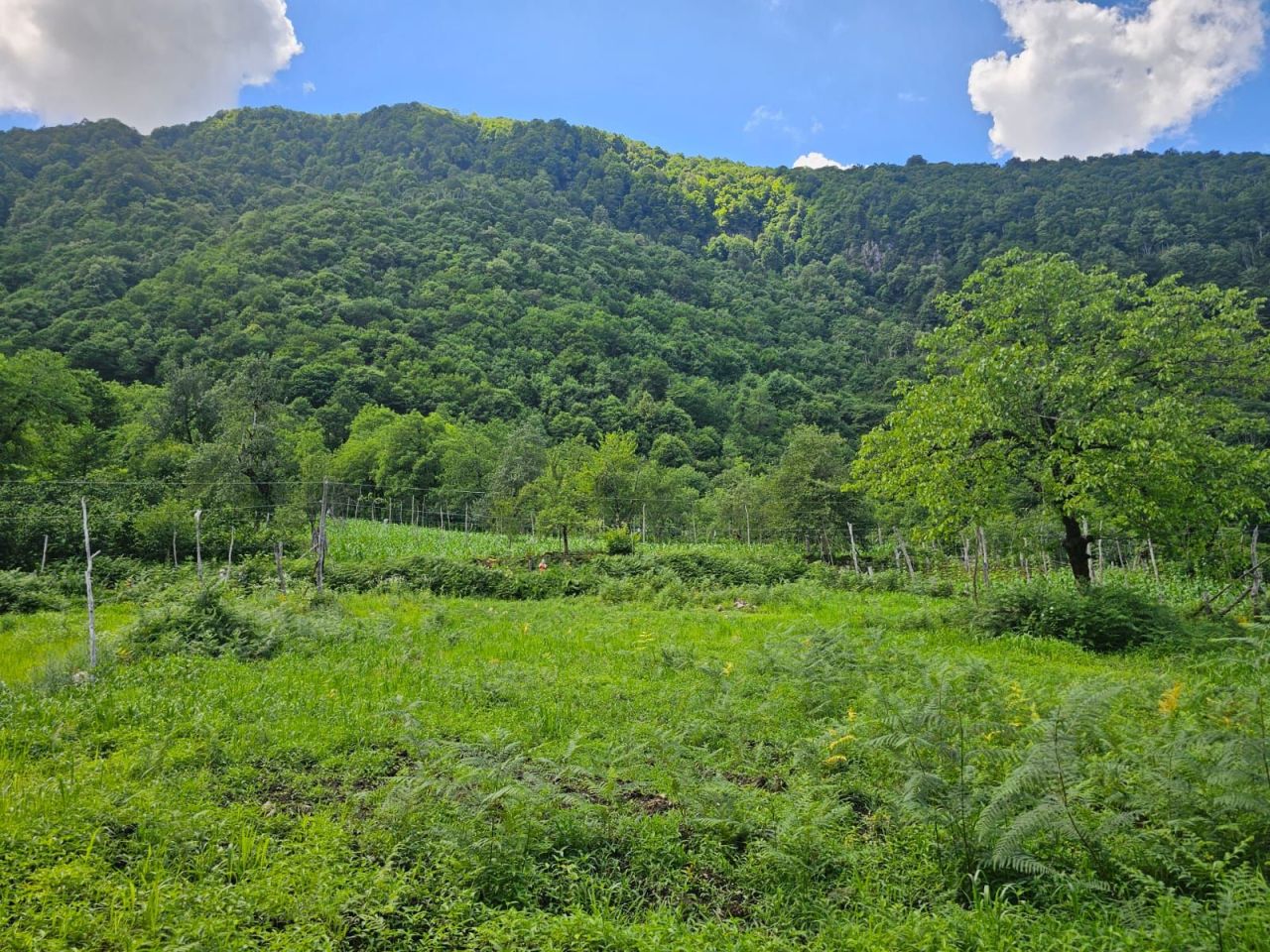 Земля в Батуми, Грузия, 2 800 м² - фото 4