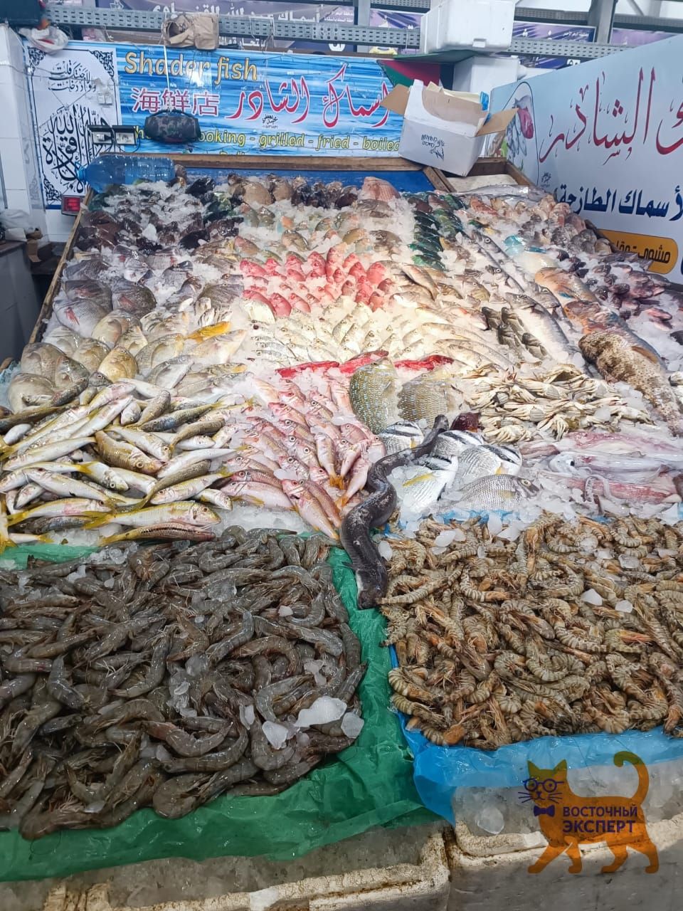 Квартира в Хургаде, Египет, 52 м² - фото 9