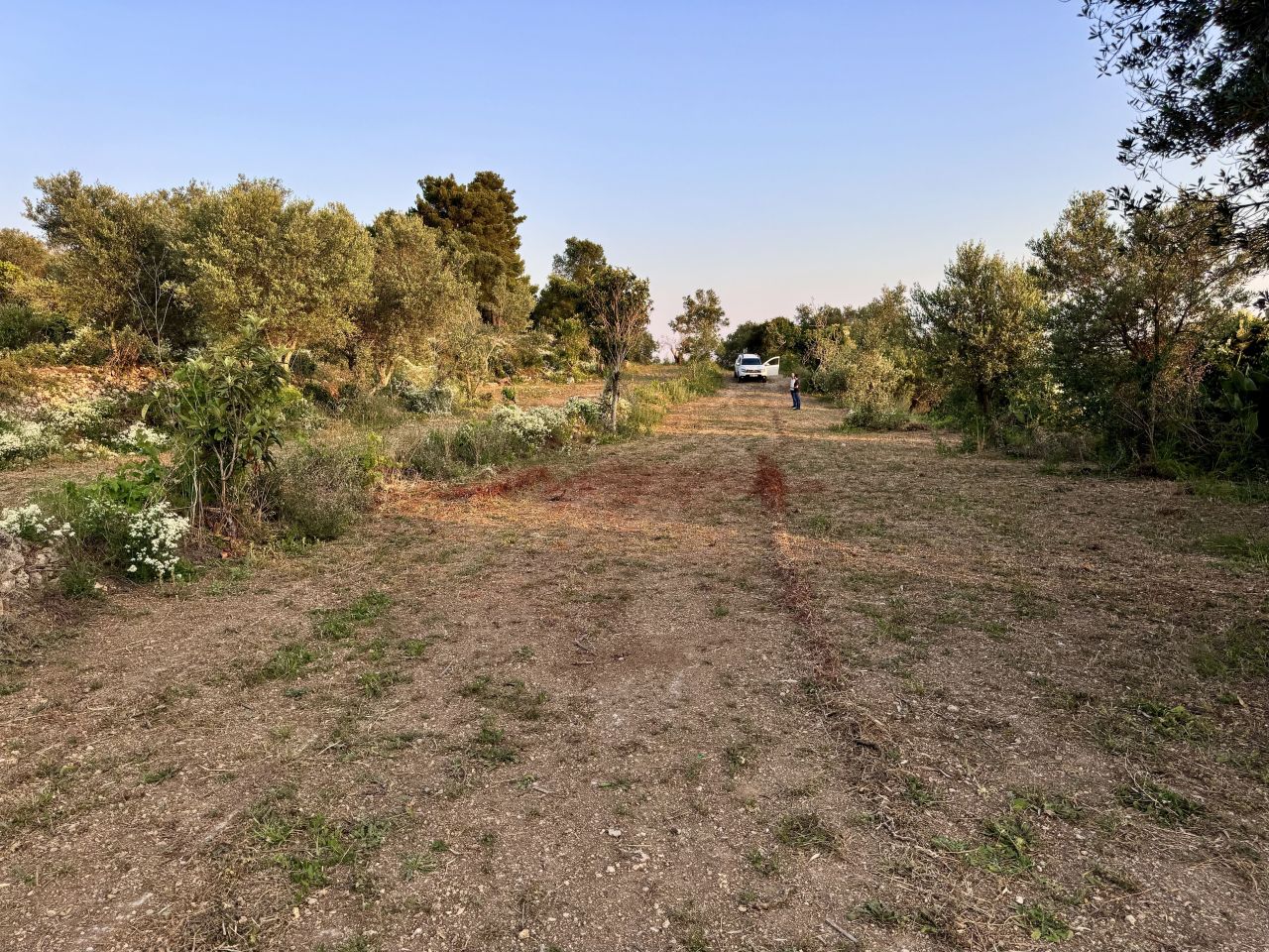 Земля на Корфу, Греция, 6 000 м² - фото 3