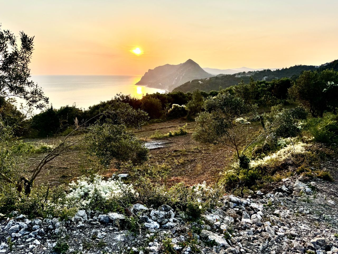 Земля на Корфу, Греция, 6 000 м² - фото 6