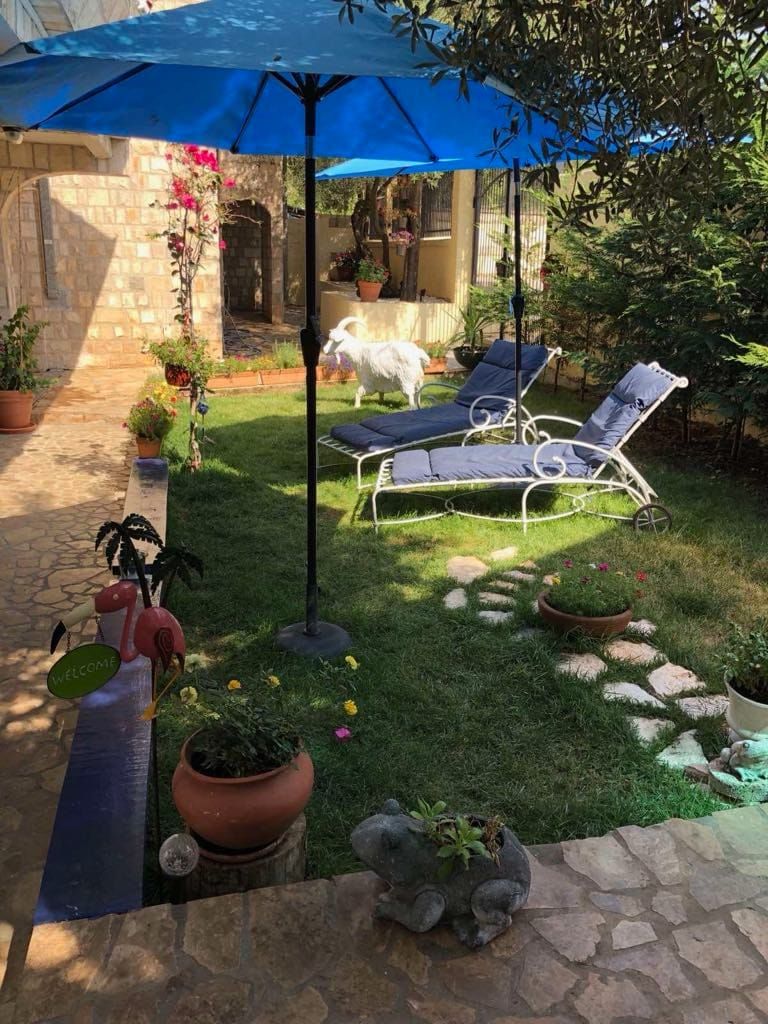 Отель, гостиница в Добра Воде, Черногория, 600 м² - фото 16