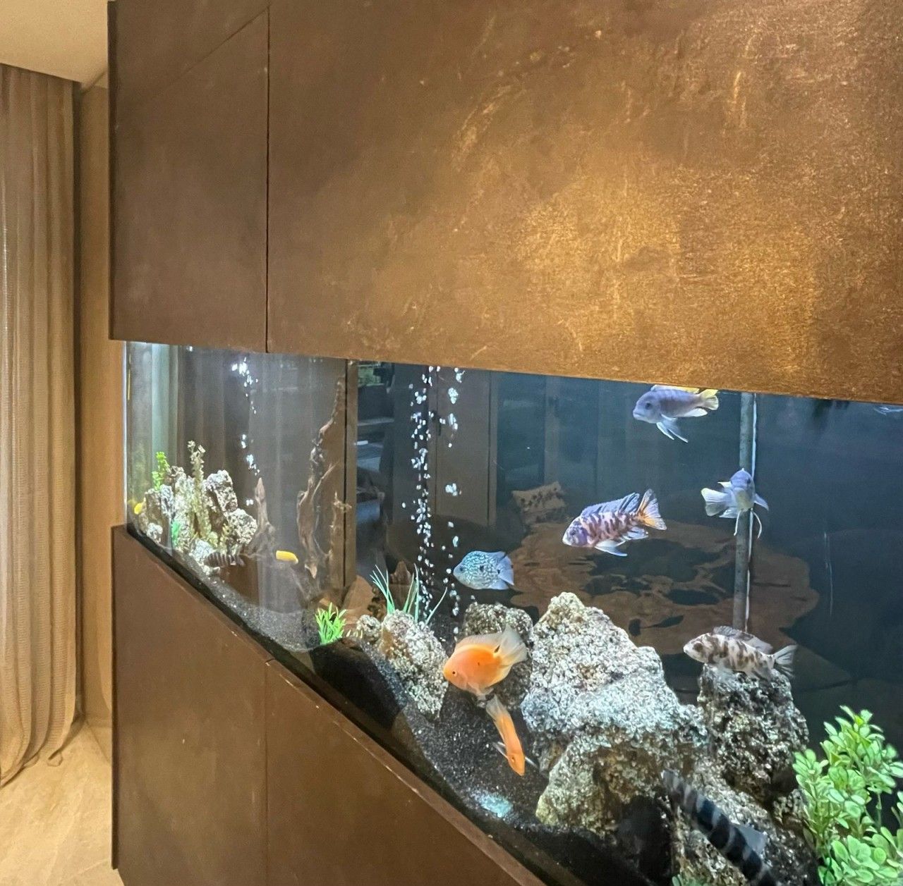 Вилла в Лимасоле, Кипр, 225 м² - фото 5