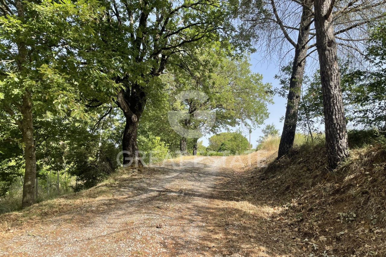 Дом в Читта-делла-Пьеве, Италия, 244.3 м² - фото 5